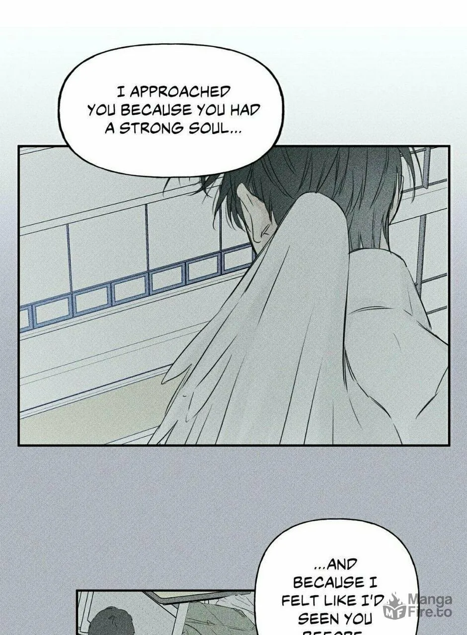 Angel Buddy Chapter 57 page 50 - 