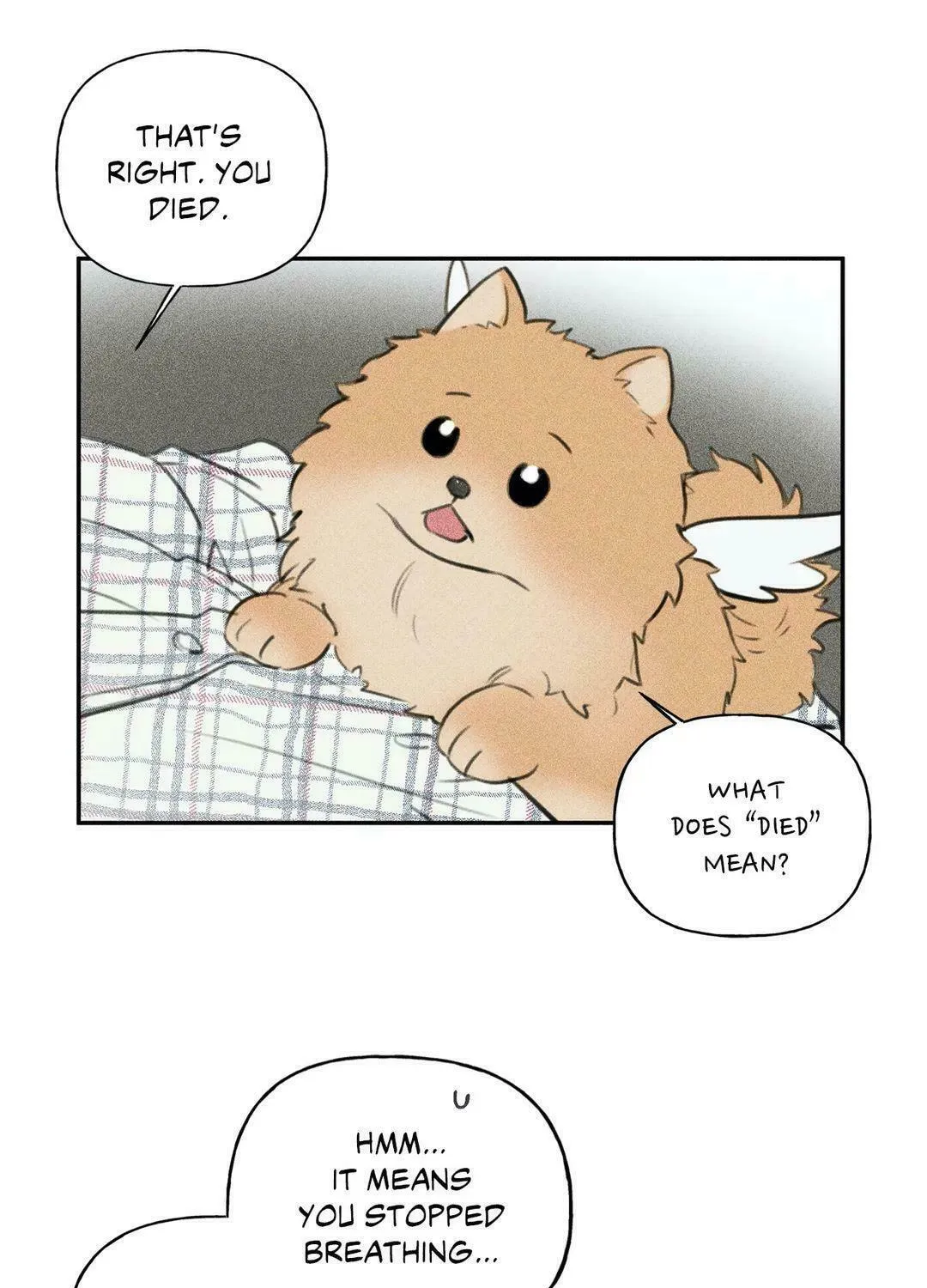 Angel Buddy Chapter 65 page 16 - 