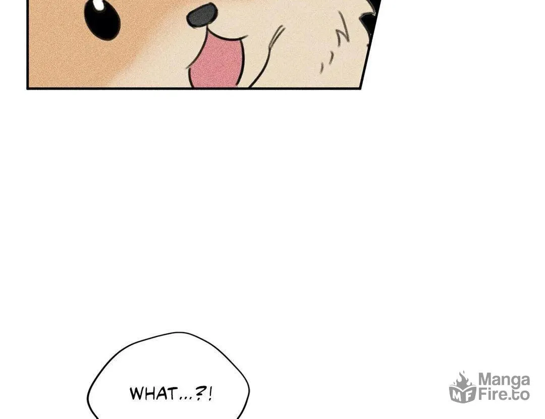 Angel Buddy Chapter 68 page 20 - 
