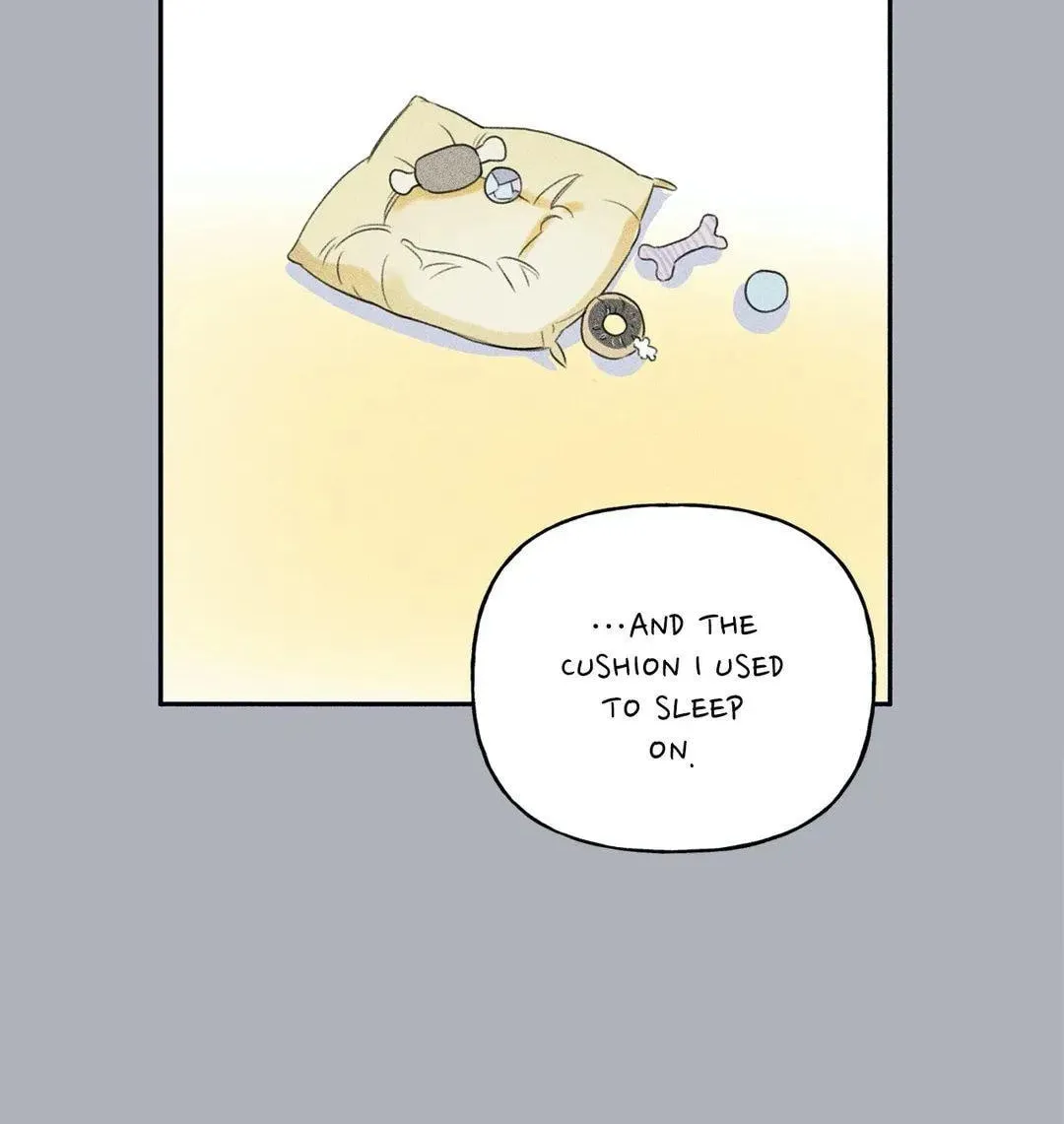 Angel Buddy Chapter 68 page 62 - 