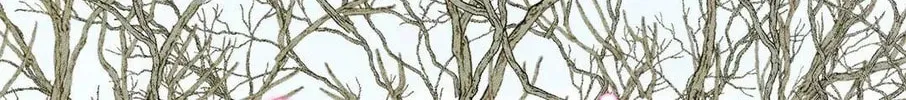 Angel Buddy Chapter 77 page 14 - 