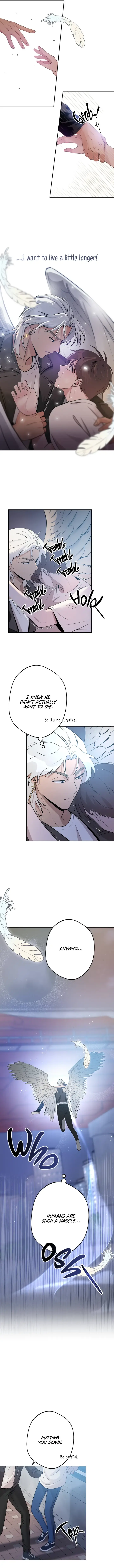 Angel Kiss (Bobnakk) Chapter 1 page 17 - 