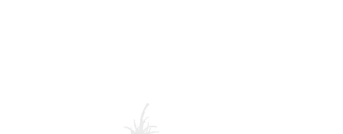 Angel Kiss (Bobnakk) Chapter 31 page 66 - 