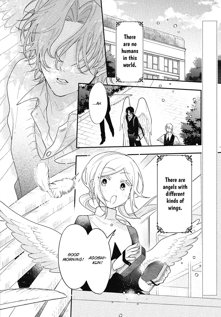 Angels in Love are Sinful Chapter 2 page 2 - 