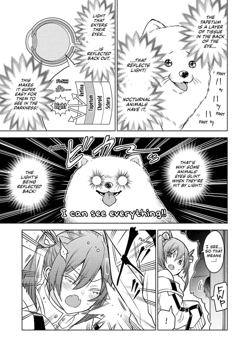 Animal Signal Chapter 2 page 19 - 