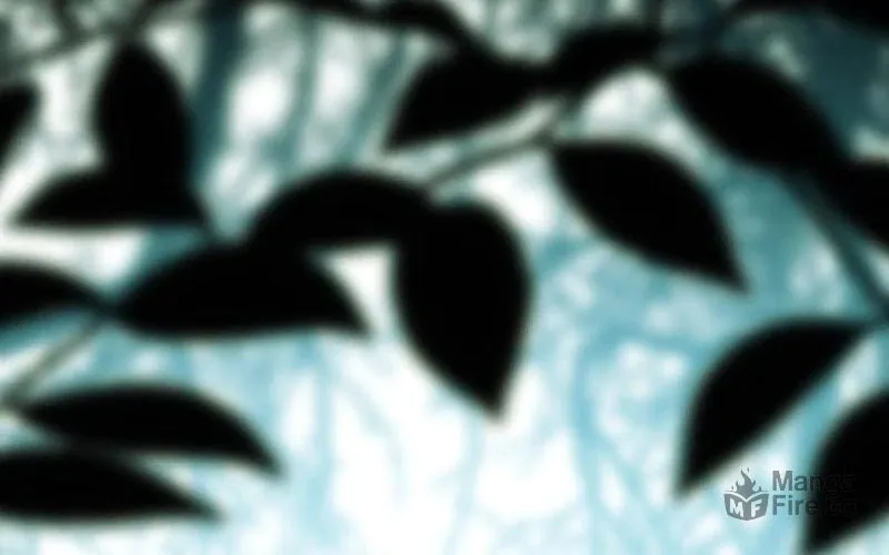 Another Typical Fantasy Romance Chapter 126 page 17 - 