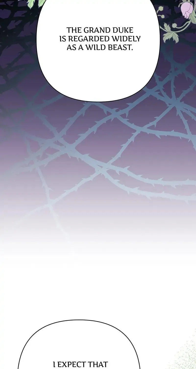 Another Typical Fantasy Romance Chapter 24 page 147 - 