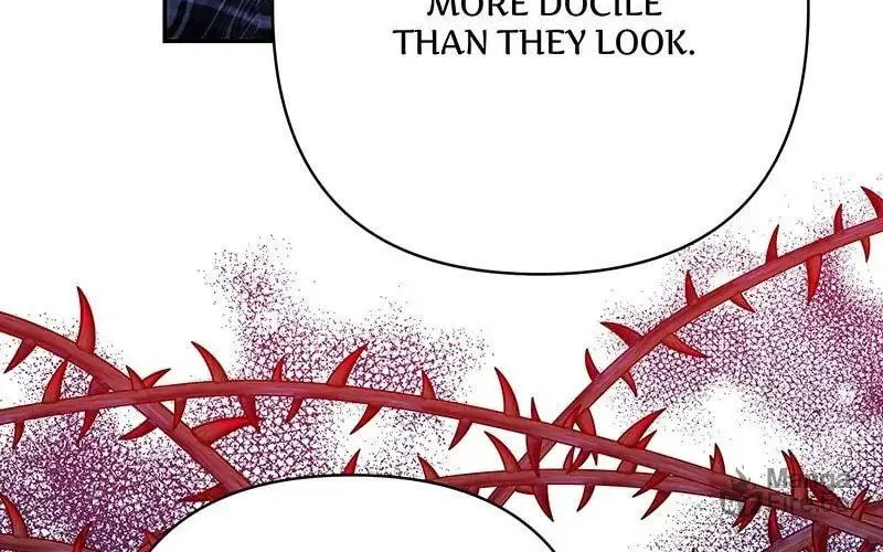 Another Typical Fantasy Romance Chapter 25 page 40 - 