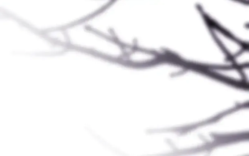Another Typical Fantasy Romance Chapter 94.7 page 49 - 
