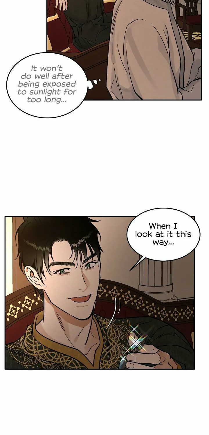 Antidote (Harusari) Chapter 24 page 24 - 