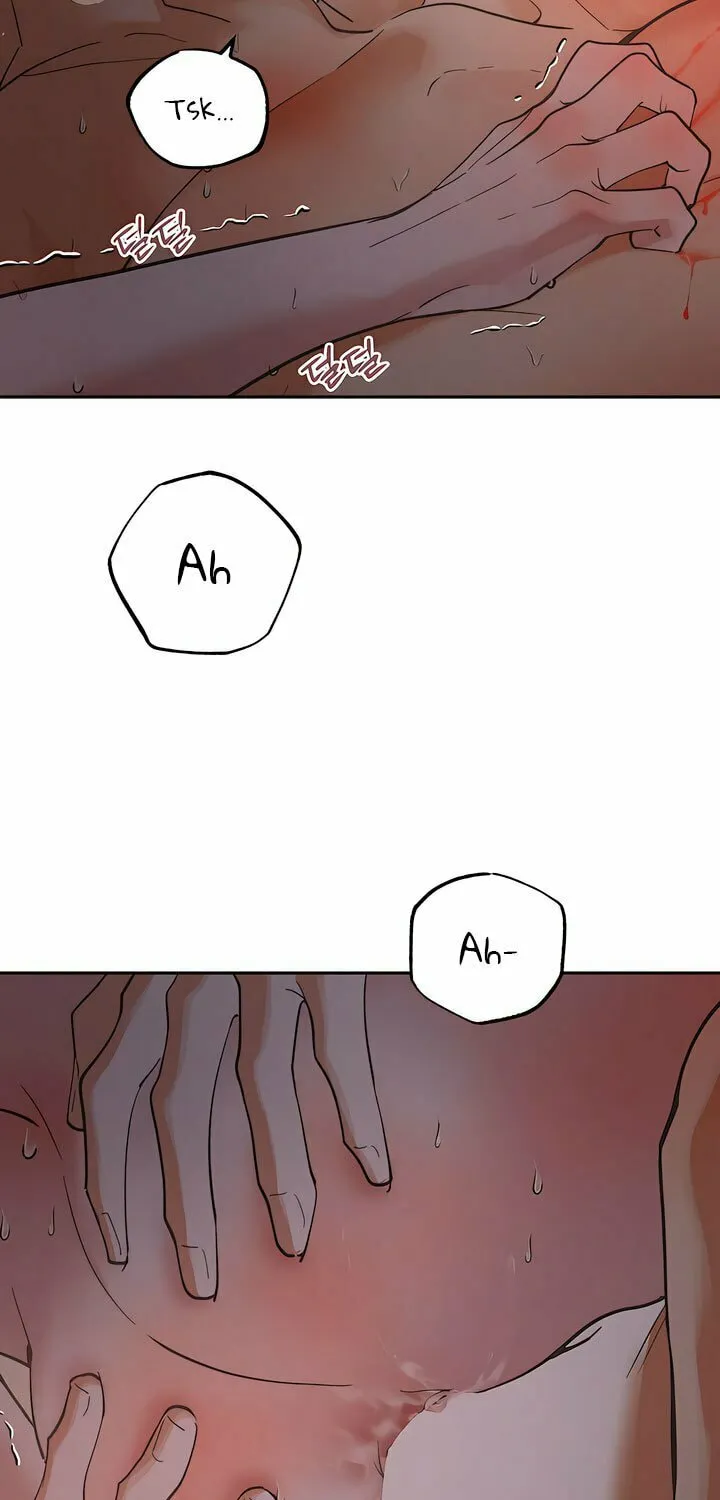 Antidote (Harusari) Chapter 32 page 37 - 
