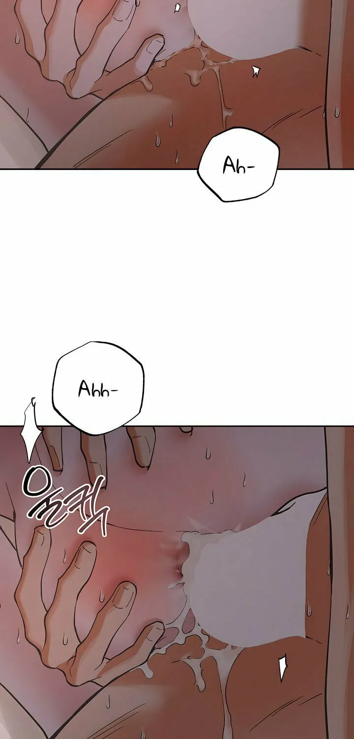 Antidote (Harusari) Chapter 32 page 38 - 