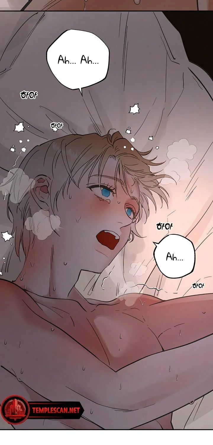 Antidote (Harusari) Chapter 32 page 39 - 