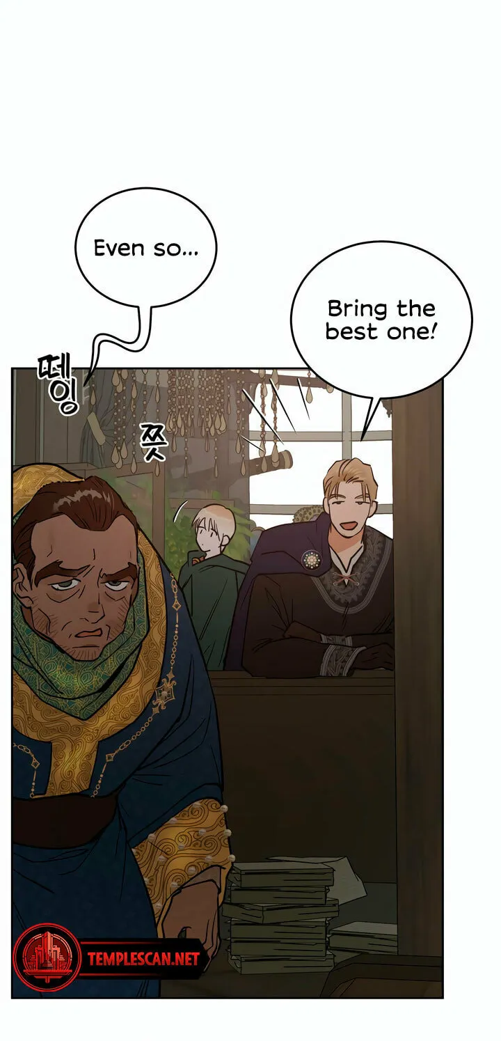 Antidote (Harusari) Chapter 36 page 33 - 