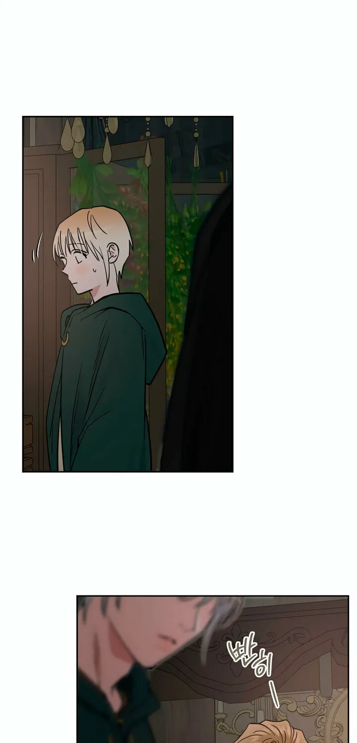 Antidote (Harusari) Chapter 36 page 35 - 