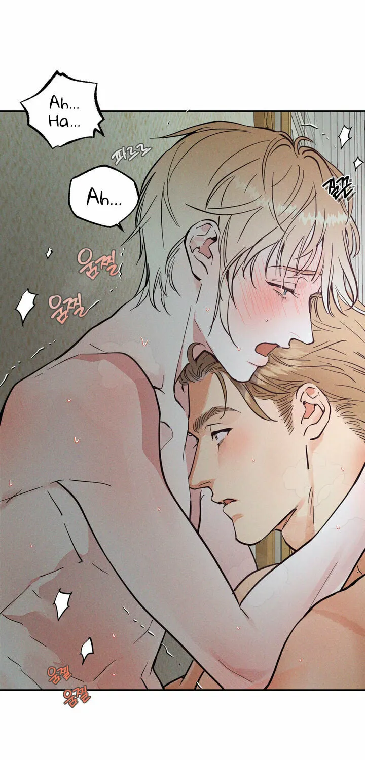 Antidote (Harusari) Chapter 38 page 38 - 