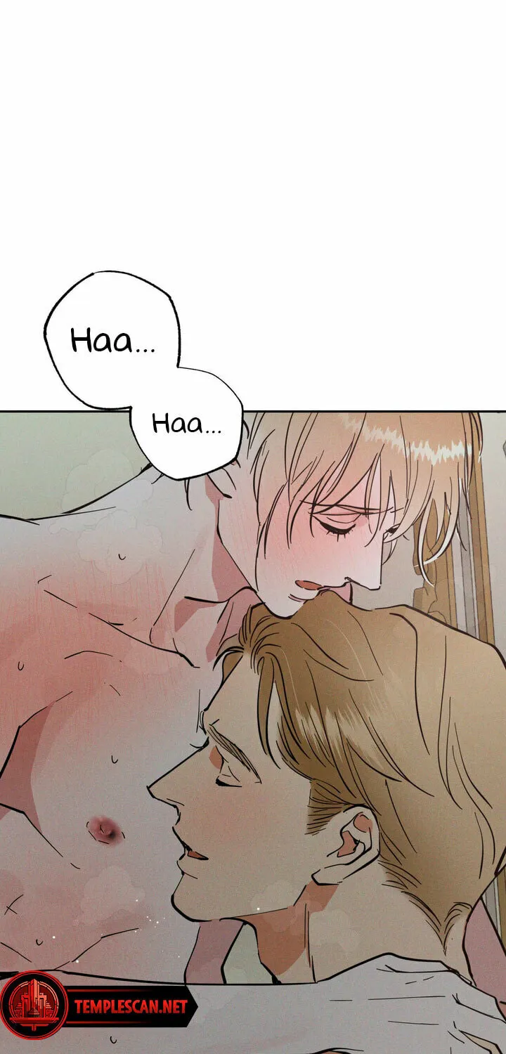 Antidote (Harusari) Chapter 38 page 62 - 