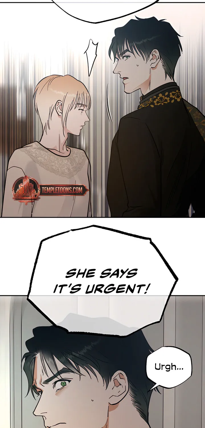 Antidote (Harusari) Chapter 42 page 62 - 