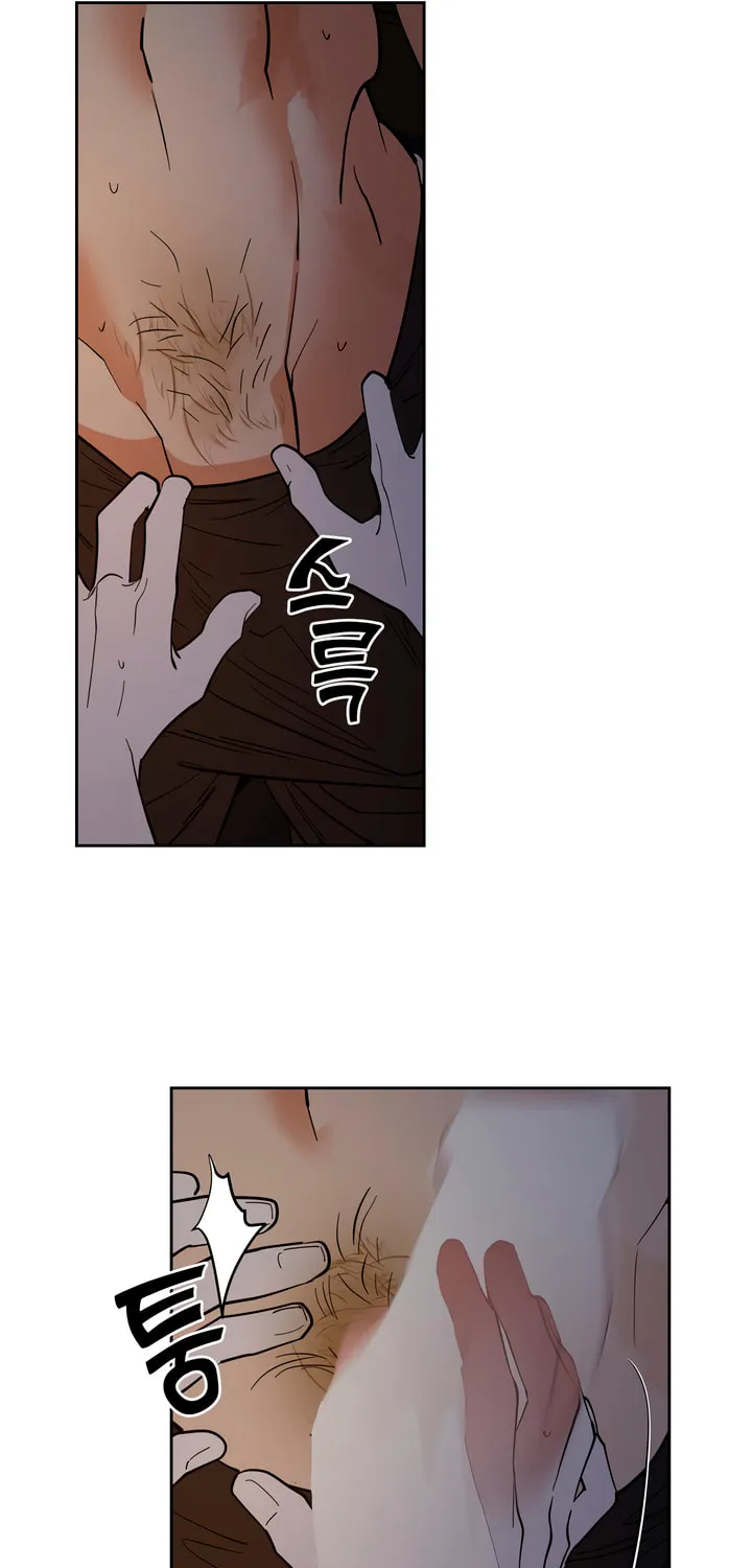 Antidote (Harusari) Chapter 47 page 41 - 