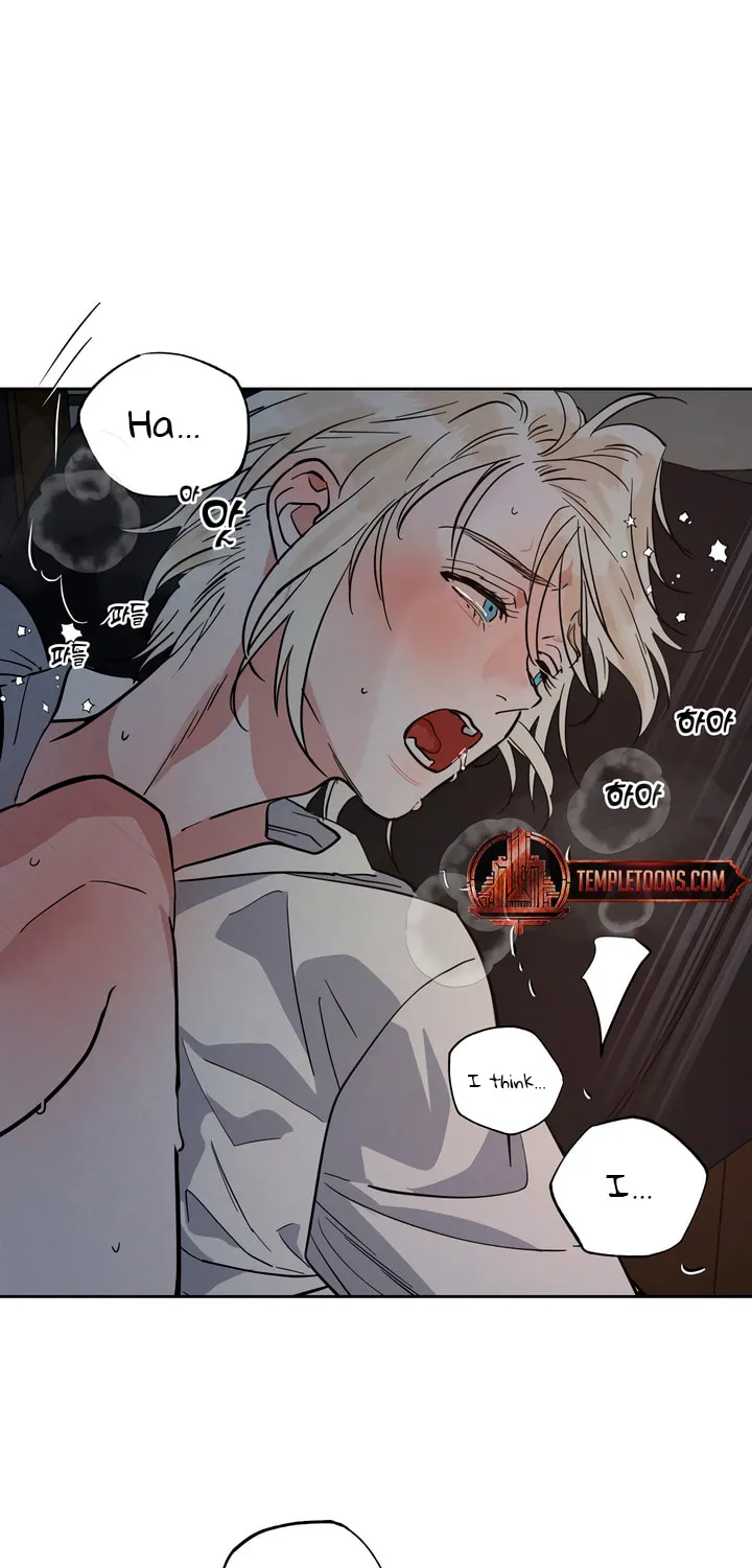 Antidote (Harusari) Chapter 47 page 61 - 