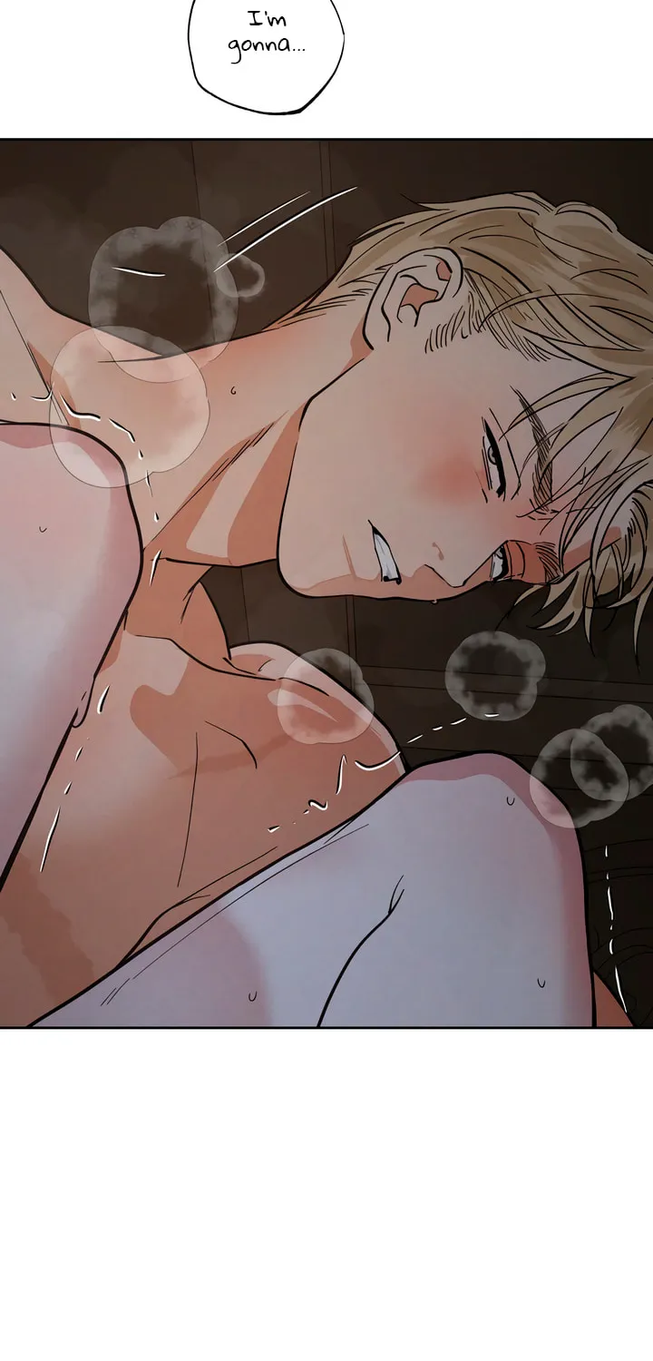 Antidote (Harusari) Chapter 47 page 62 - 