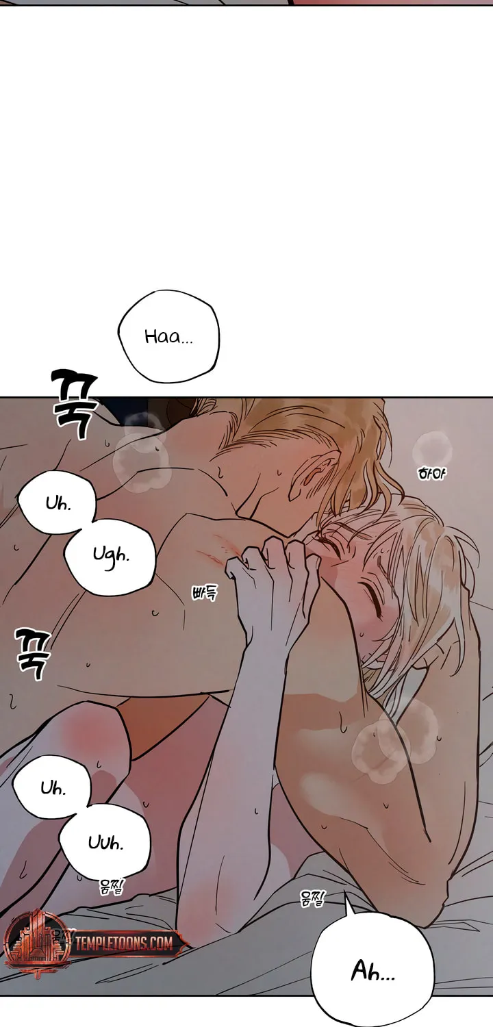 Antidote (Harusari) Chapter 48 page 37 - 