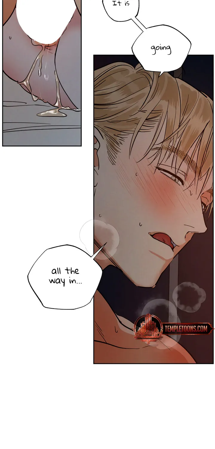Antidote (Harusari) Chapter 48 page 48 - 