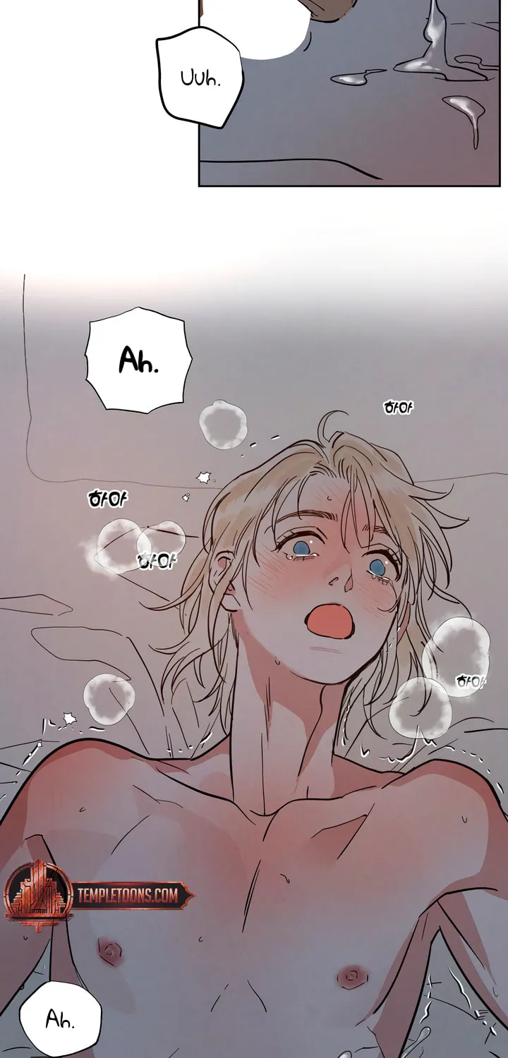 Antidote (Harusari) Chapter 48 page 62 - 