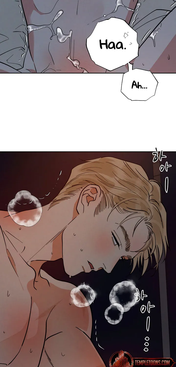 Antidote (Harusari) Chapter 48 page 63 - 