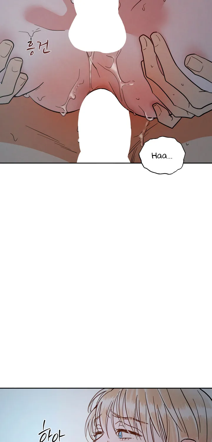 Antidote (Harusari) Chapter 49 page 44 - 