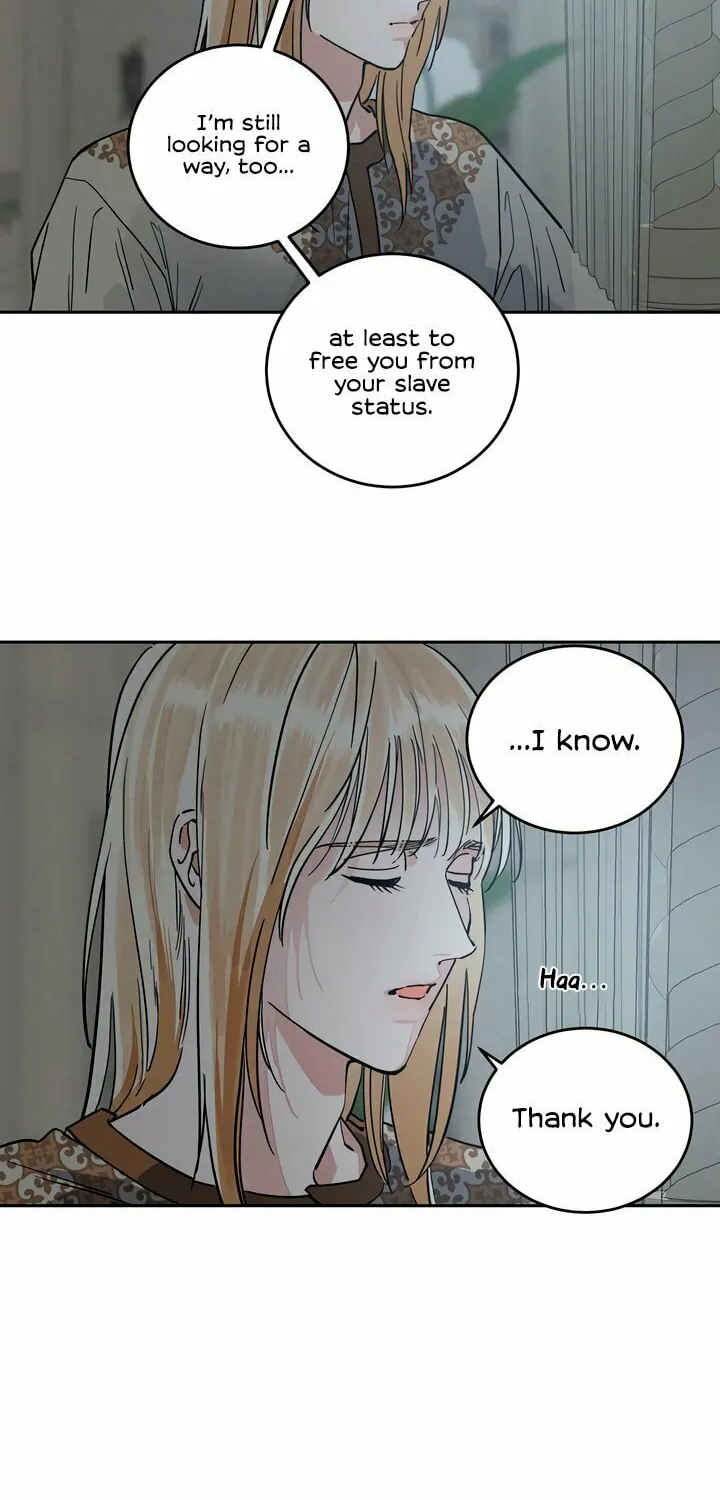 Antidote (Harusari) Chapter 56 page 13 - 