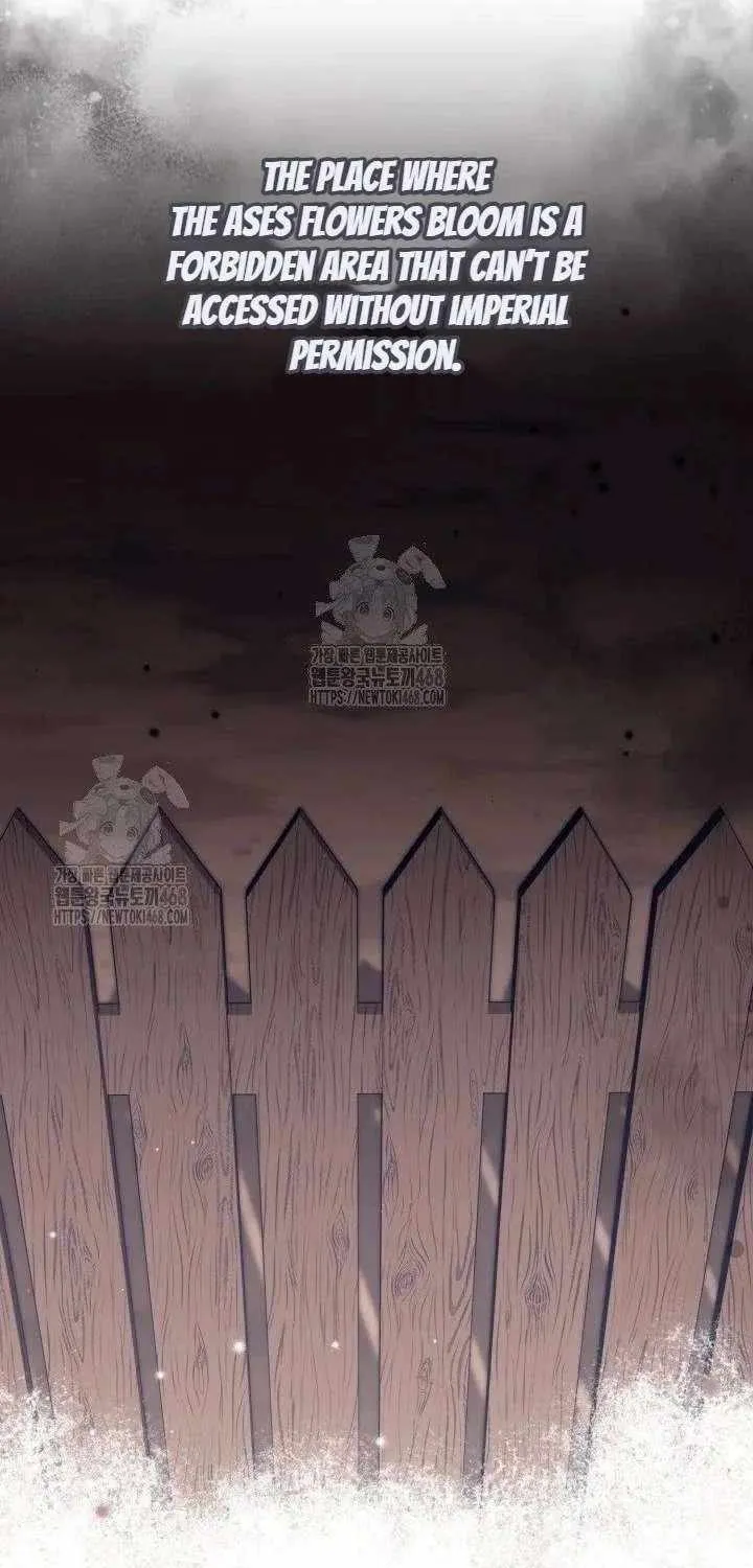 Anyone Beats the Original Chapter 57 page 59 - 
