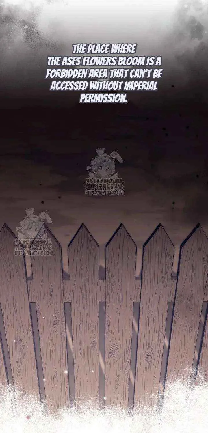 Anyone Can Beat the Original Chapter 57 page 60 - 