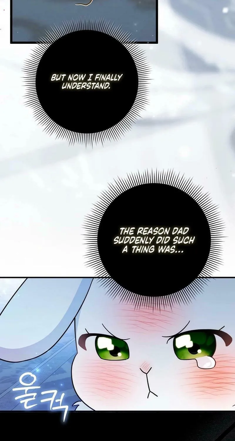 Anyone Can See It