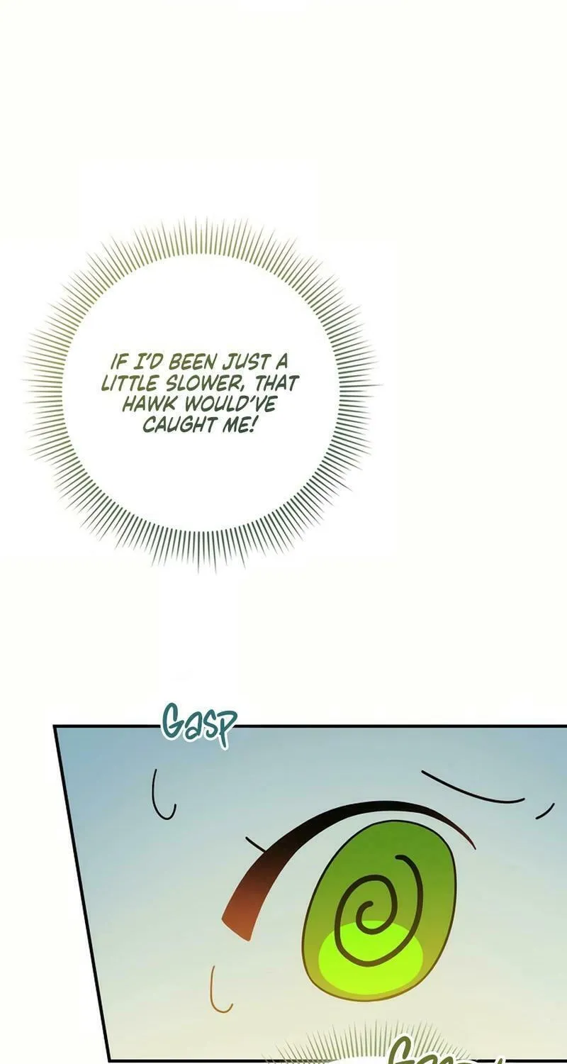 Anyone Can See It