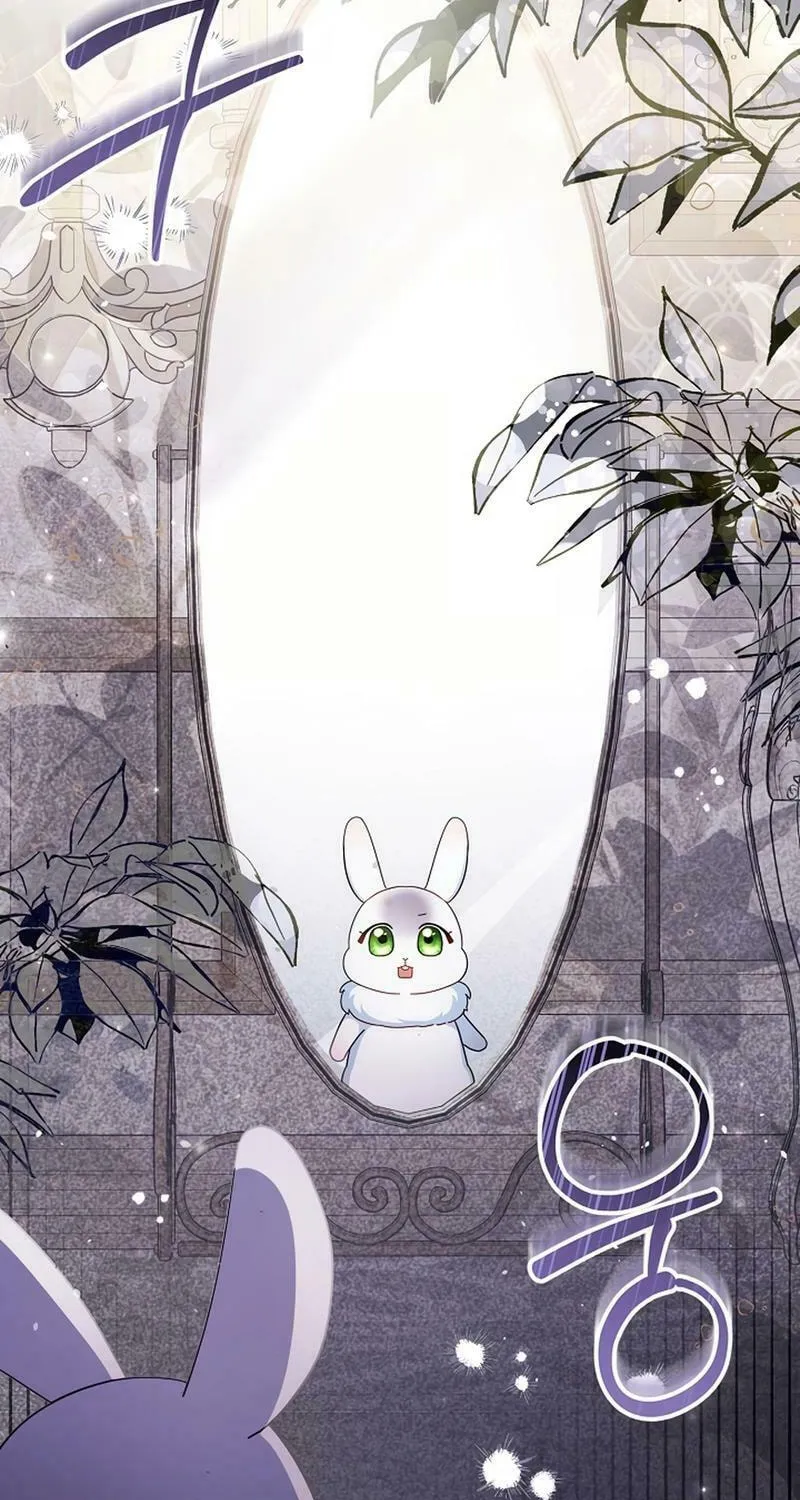Anyone Can See It