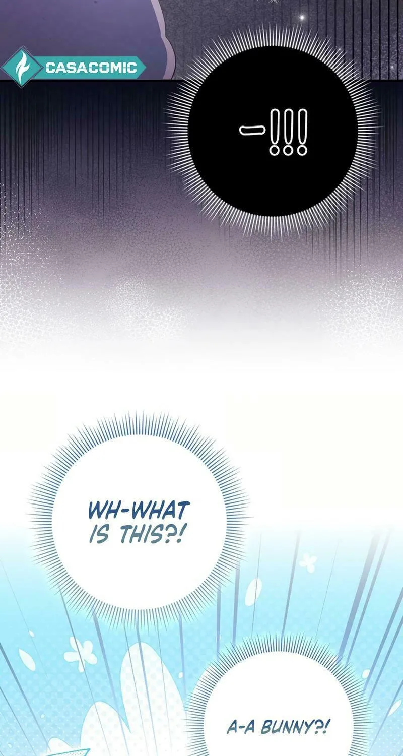 Anyone Can See It