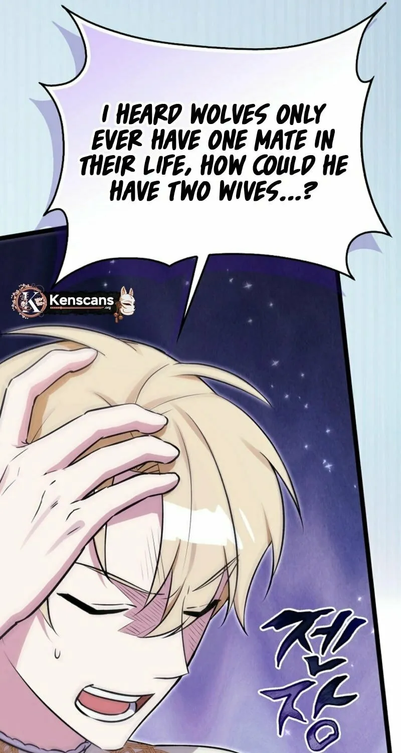 Anyone Can See It