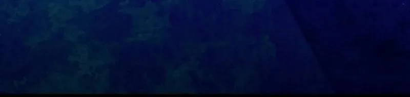Anyone Can See It