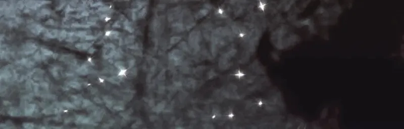 Anyone Can See It