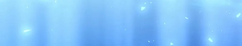 Anyone Can See It