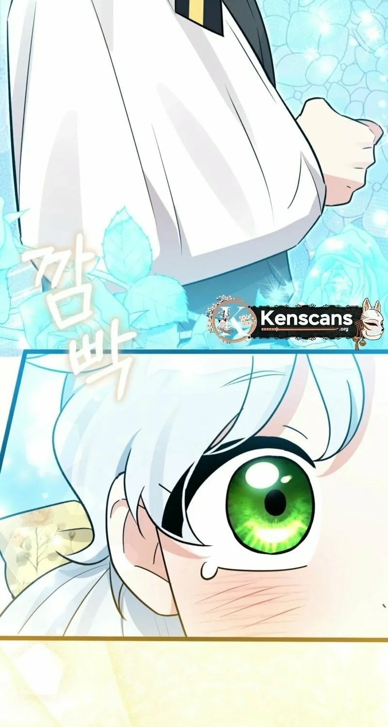 Anyone Can See It