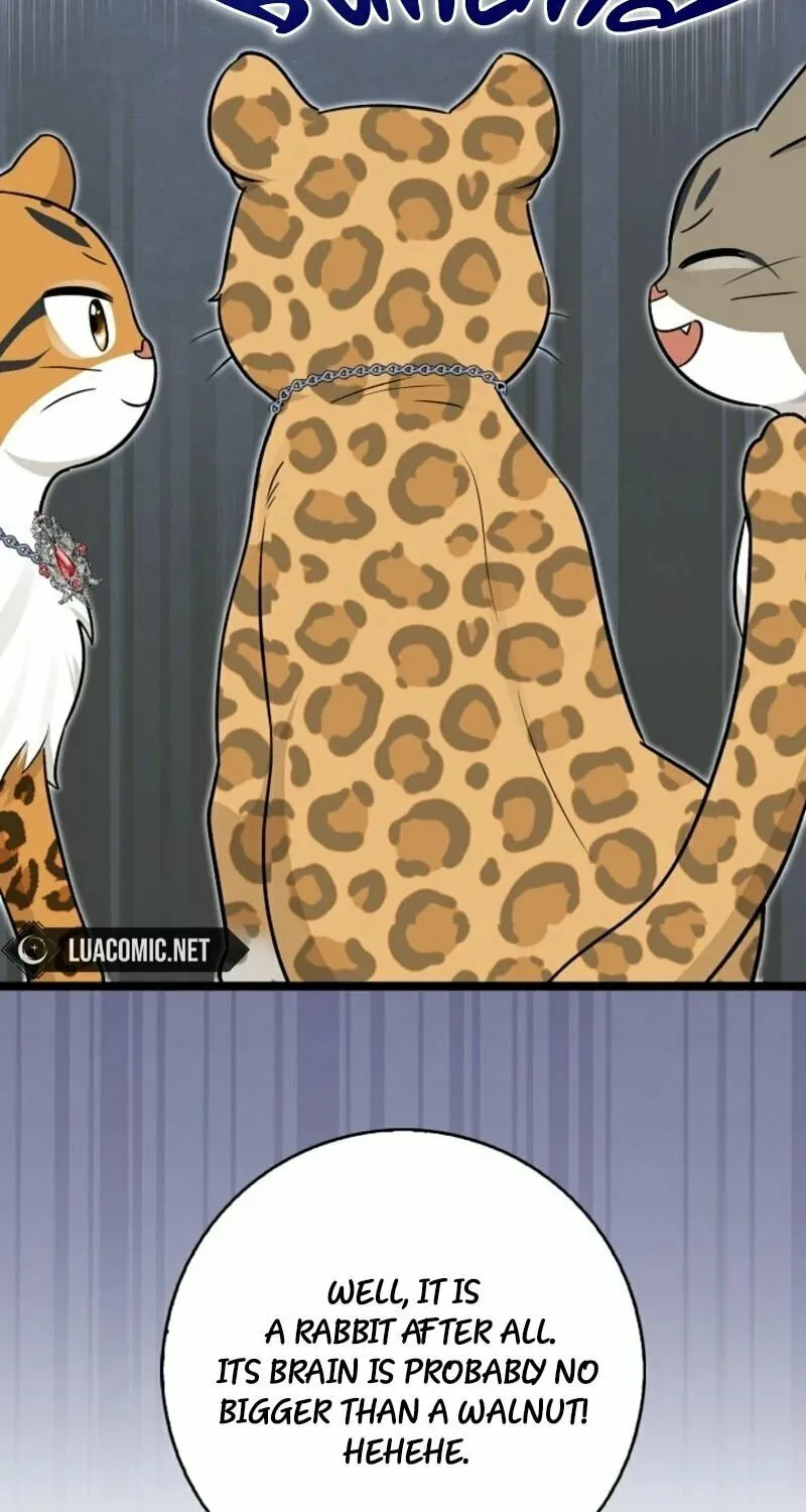 Anyone Can See It
