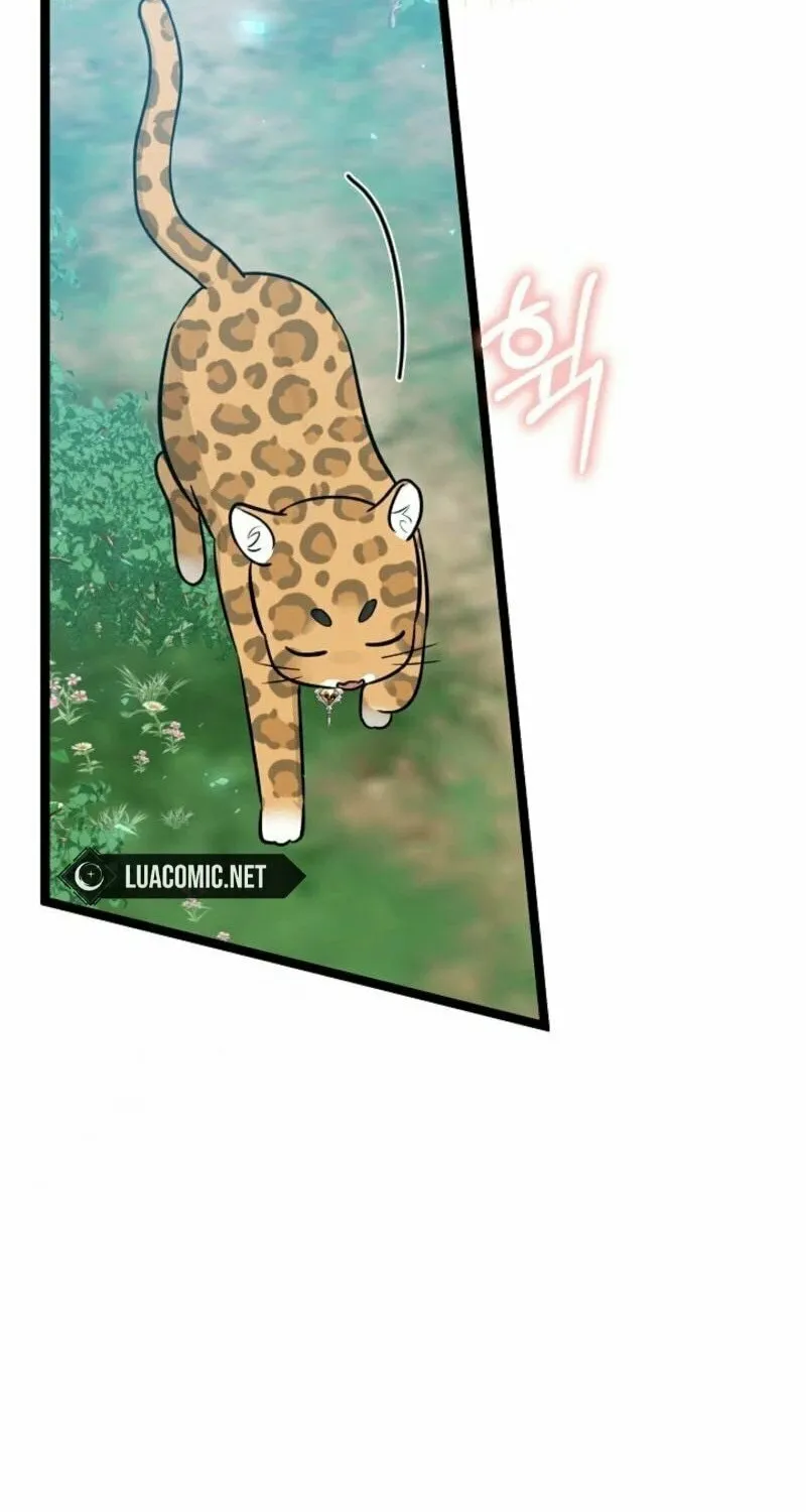 Anyone Can See It