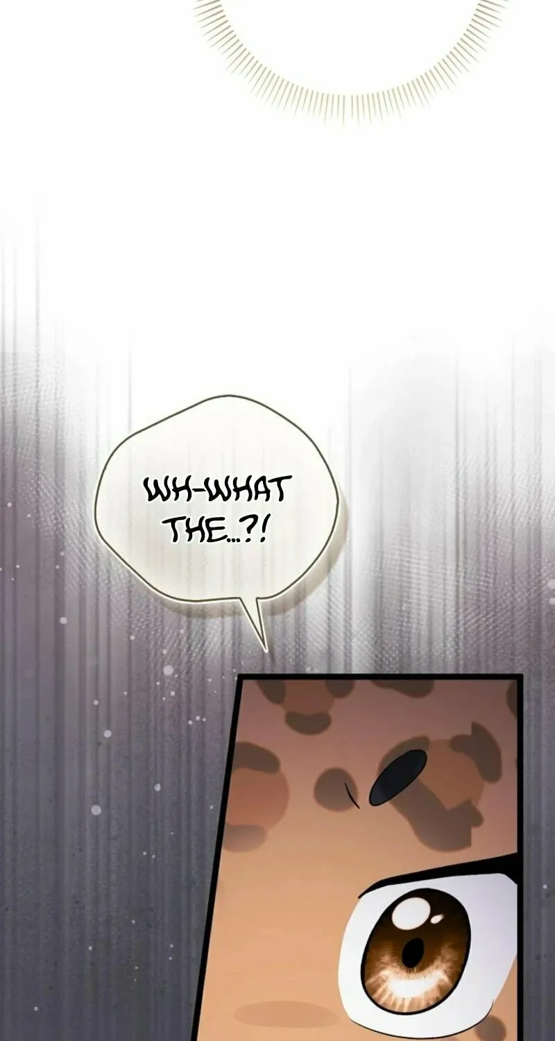 Anyone Can See It