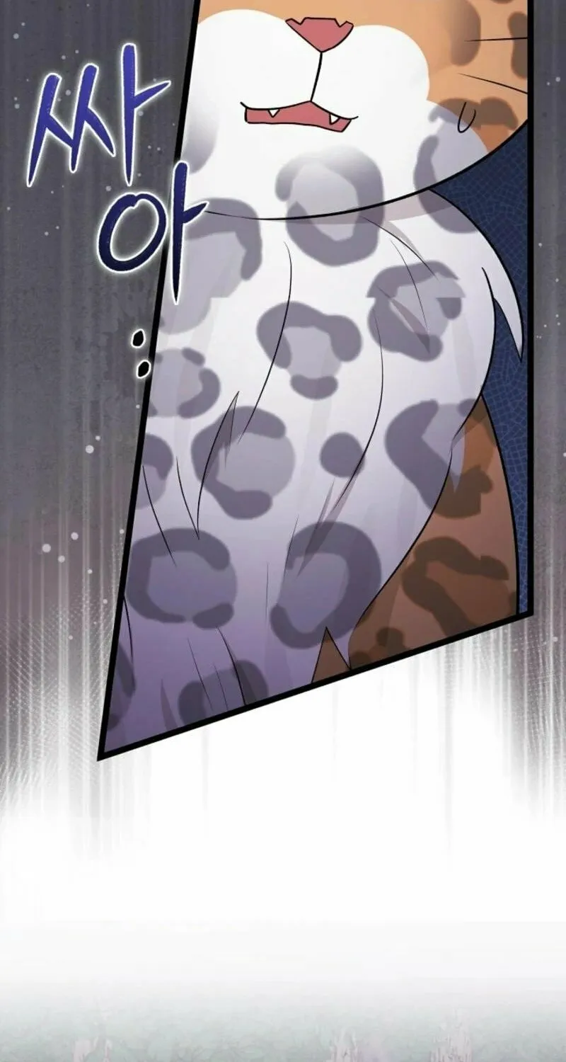 Anyone Can See It