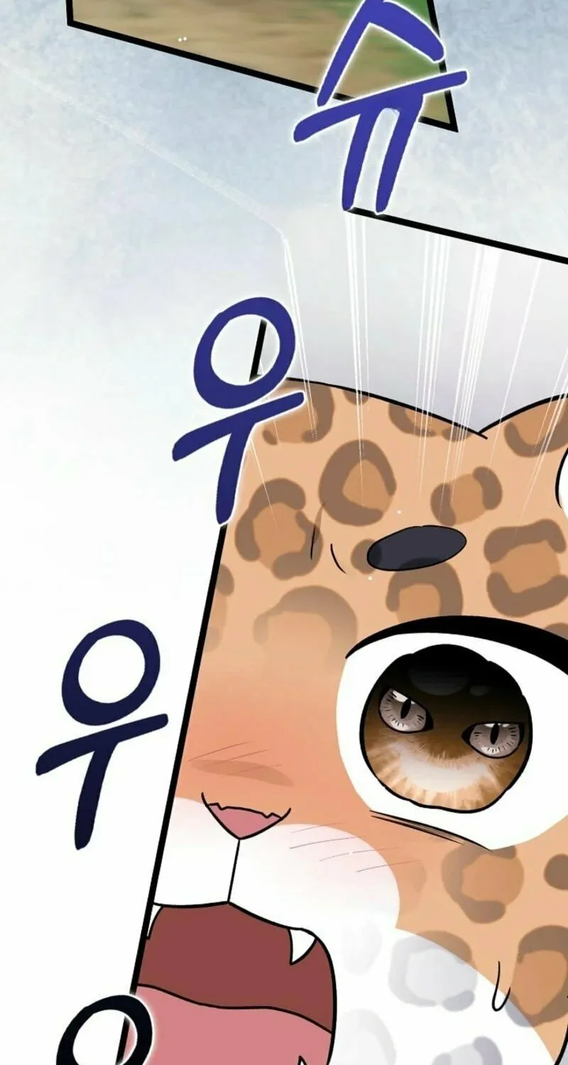 Anyone Can See It