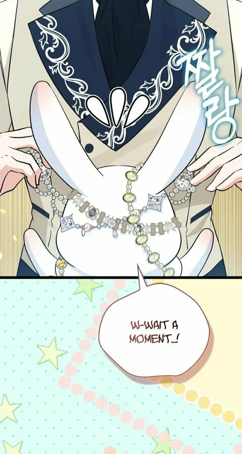 Anyone Can See It