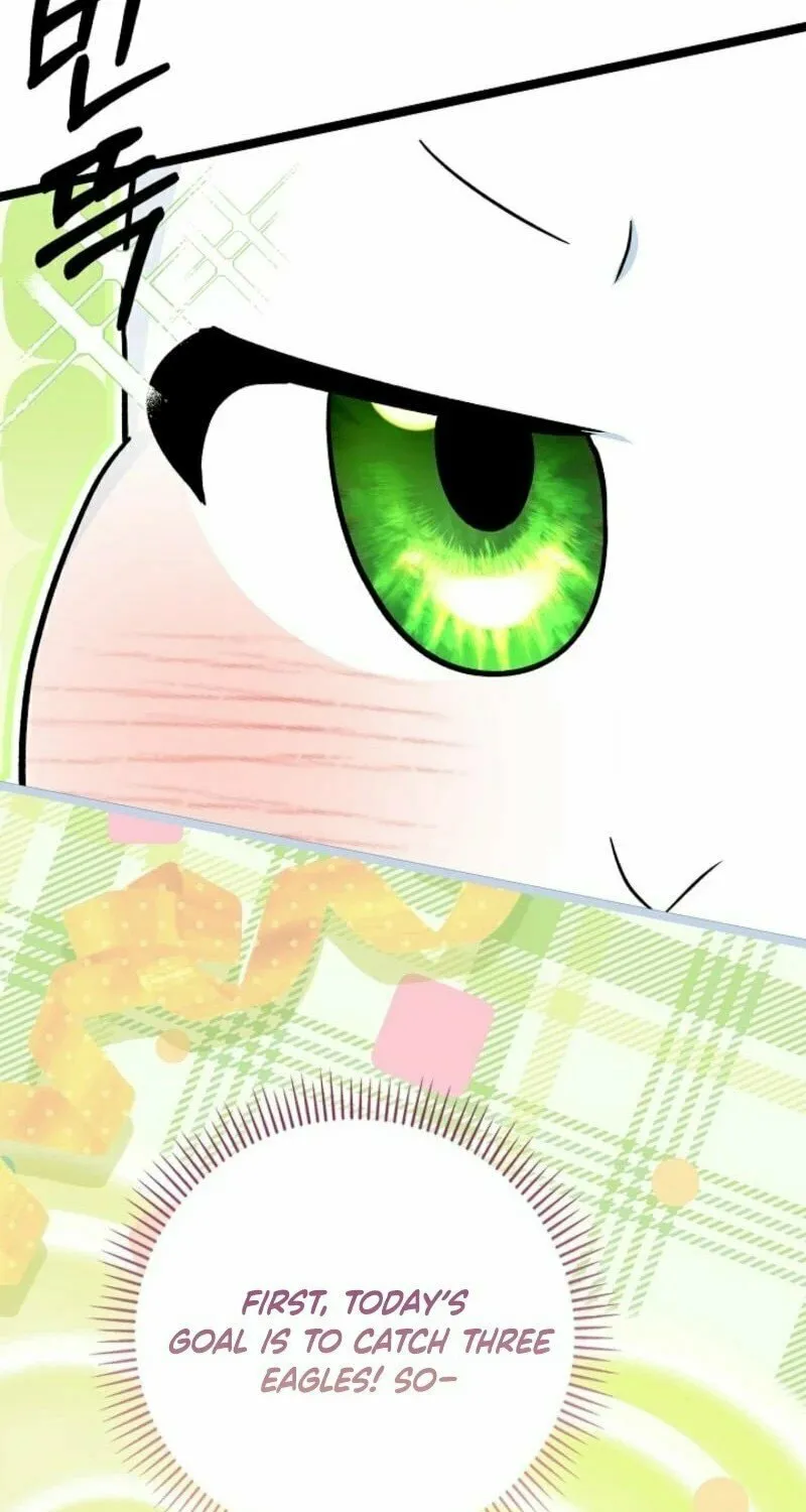 Anyone Can See It