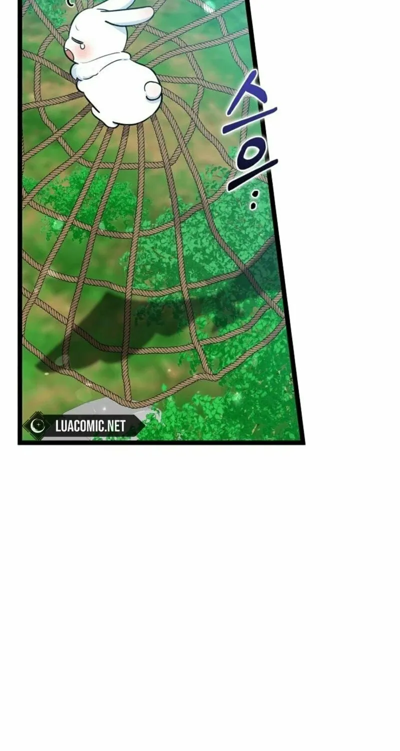 Anyone Can See It